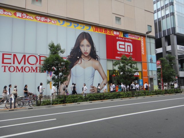 DSC03731.JPG