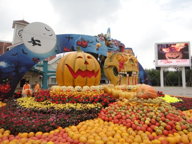 DSC02684.JPG