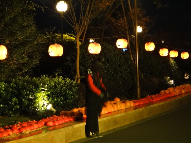 DSC02993.JPG