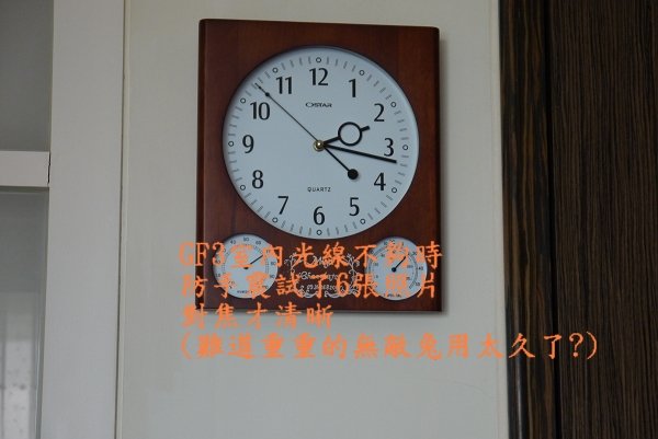 P1020104.jpg