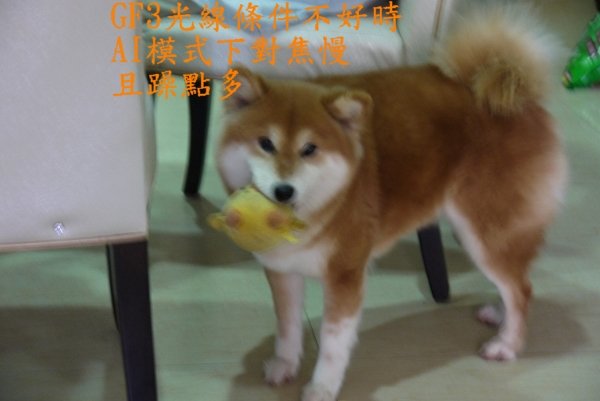 P1020147.jpg
