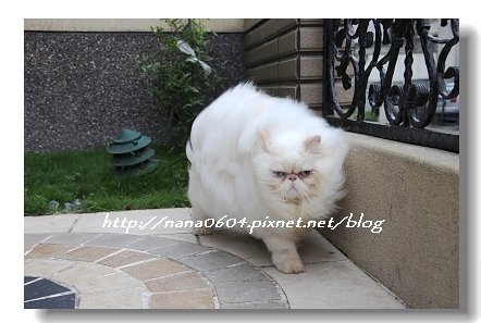 IMG_0014.jpg
