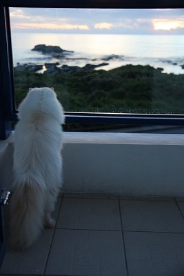 IMG_1163.jpg