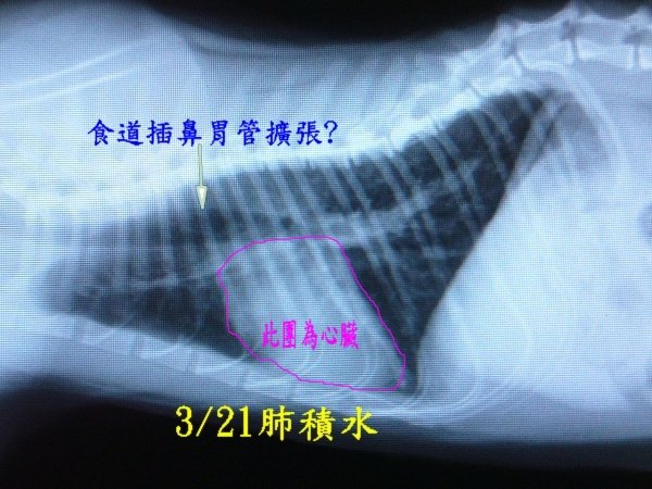 P16703602.jpg