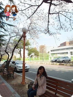 SAM_5188