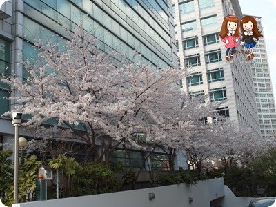 SAM_5190