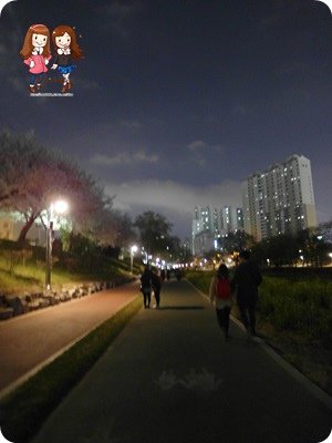 SAM_5234