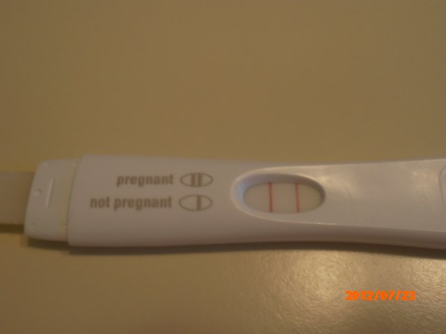 pregant01