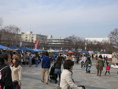 IMG_5018