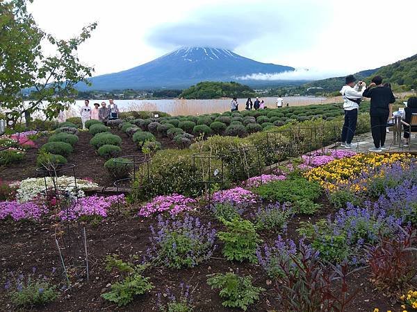 日本東京自由行攻略-河口湖驚豔行