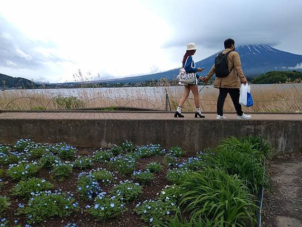 日本東京自由行攻略-河口湖驚豔行