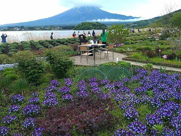 日本東京自由行攻略-河口湖驚豔行