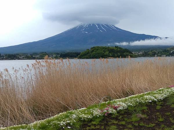 日本東京自由行攻略-河口湖驚豔行