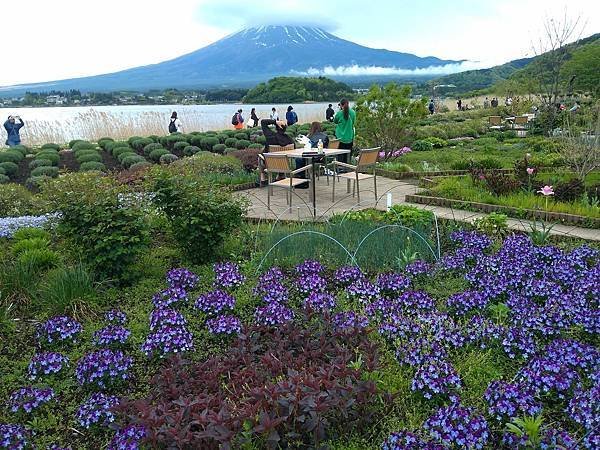 日本東京自由行攻略-河口湖驚豔行