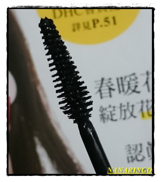 06.bmp