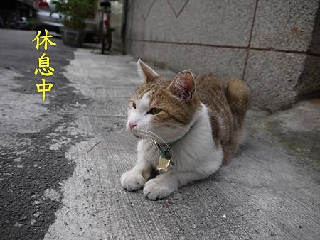 P1020996.JPG
