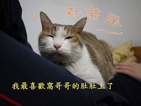 P1030838.JPG