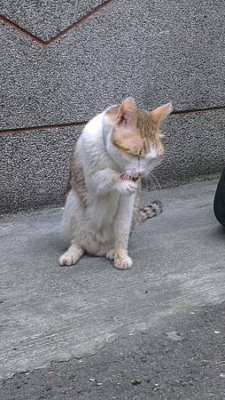 IMAG0806