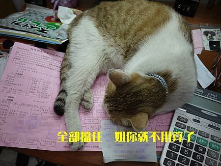 P1020063.JPG