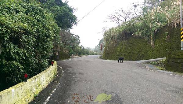 單車路線-南港找茶園 鹿窟事件紀念碑11.jpg