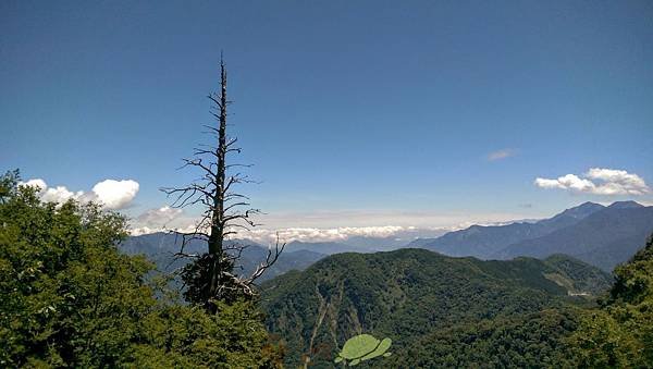 中央山脈極限挑戰217.jpg