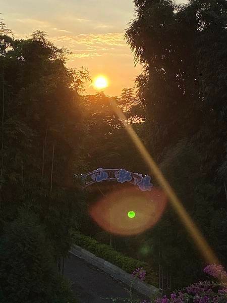 新北美食鶯歌樹林土城大溪板橋桃園美食三峽美食鳶山紅樓海鮮牛排生魚片龍蝦2.jpeg