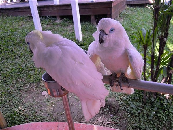 DSCN4501.JPG