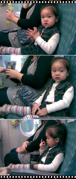 高鐵1.jpg
