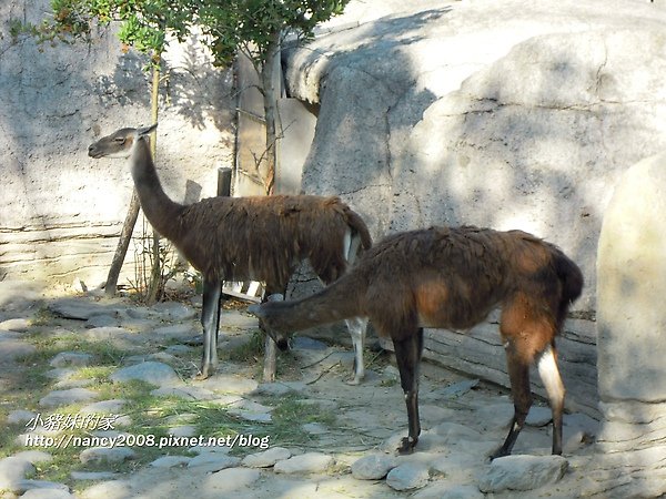 動物園27.jpg