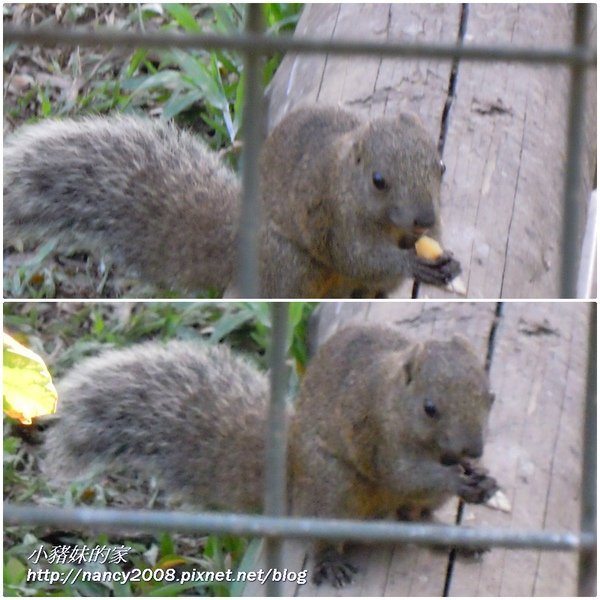 動物園33.jpg