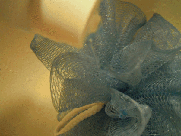 anigif.gif