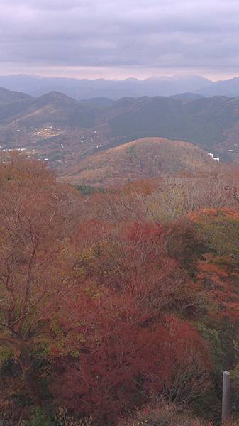 201311 關東賞楓趣