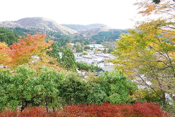 201311 關東賞楓趣