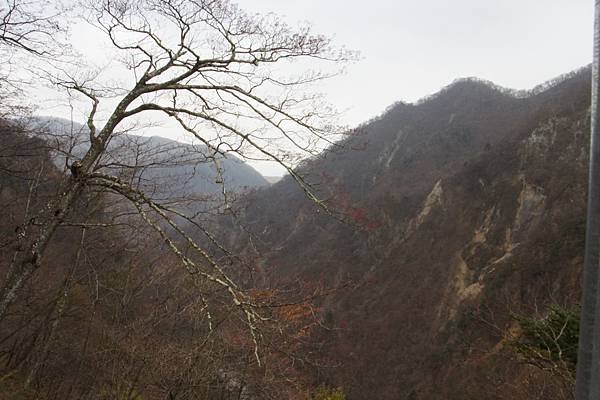 201311 關東賞楓趣
