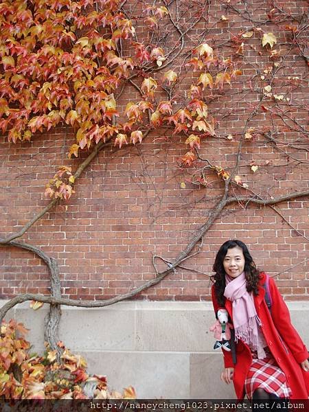 20121023.12 Roskilde Domkirke 南西第一次在秋天來到歐洲，這紅磚配上紅葉真是浪漫滿分呀～