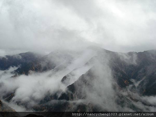 DSC00146冷的半死,還得一邊打傘,卻只能看到山嵐,嗚.JPG