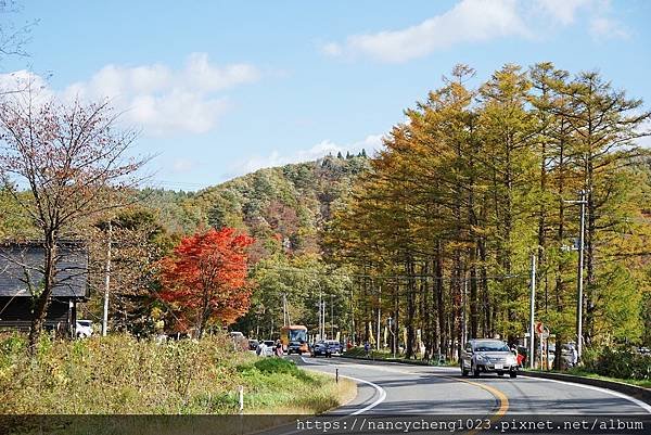 20191102.10 沿路走走拍拍,半小時來到熱鬧入口處.JPG