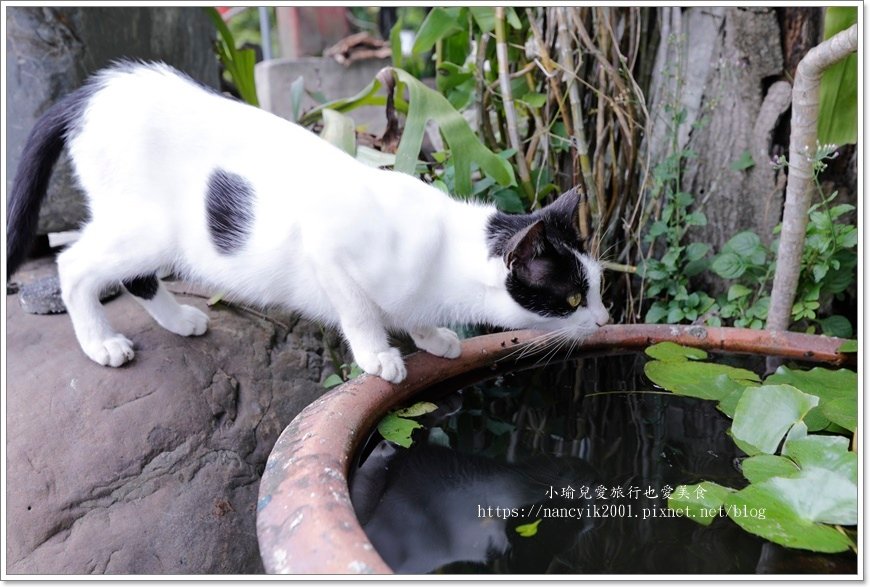 【花蓮】【牛山看見美餐飲】
