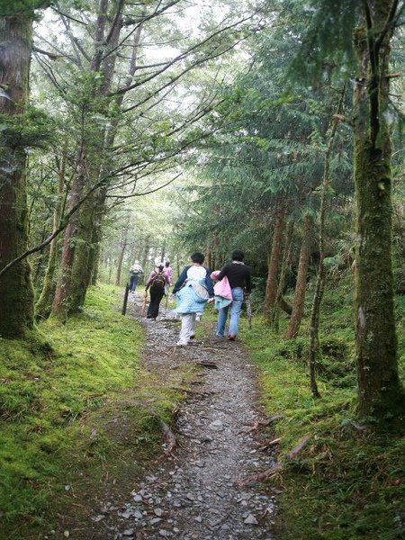 IMG_2380.JPG