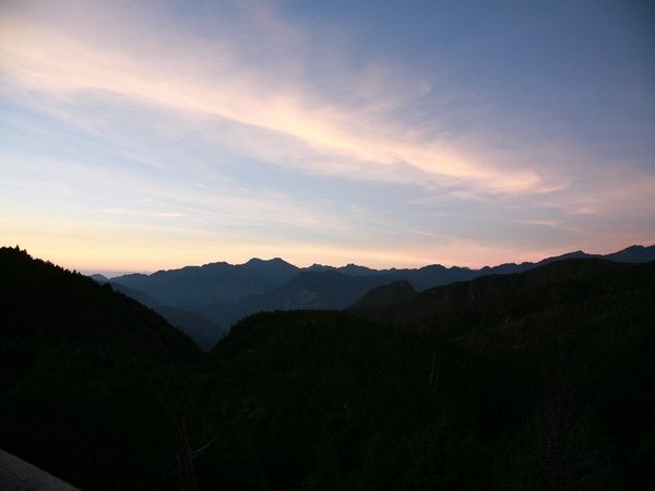 IMG_2390.jpg