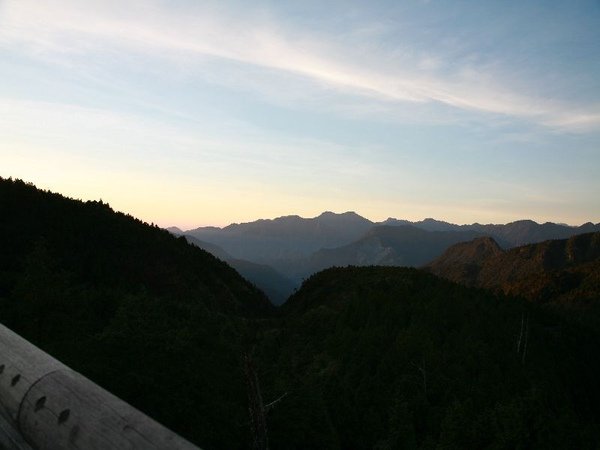IMG_2391.jpg