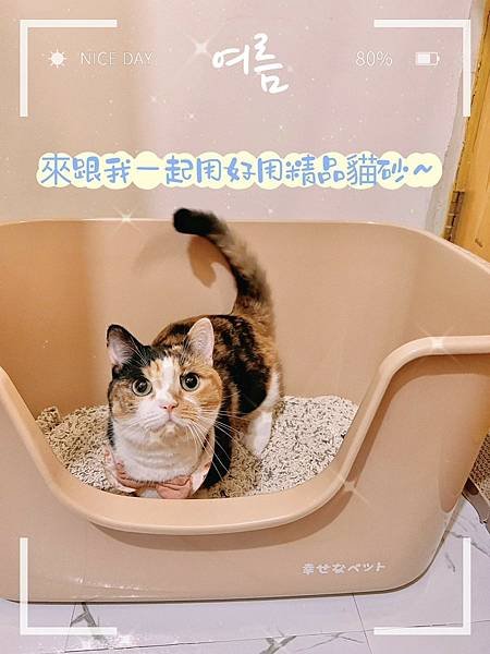 LINE_ALBUM_朵芙寇拉貓砂_231116_71.jpg