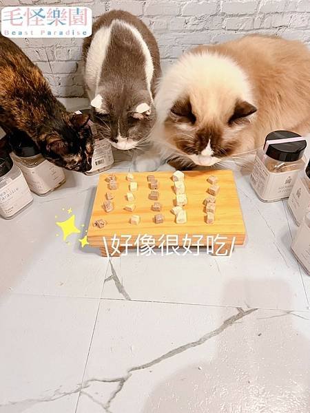 LINE_ALBUM_毛怪樂園_240229_7.jpg