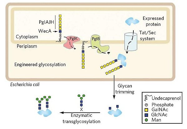 figure1.JPG