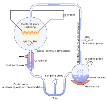 Miller–Urey experiment.png