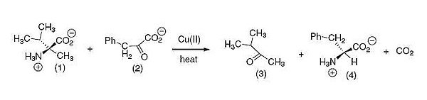 decarboxylative transamination.JPG