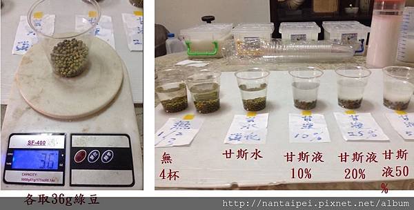 01.實驗：綠豆發芽對照組設置.jpg