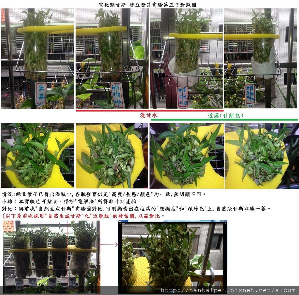 43.電解法甘斯無效用實驗結果.jpg