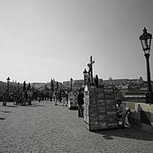 IMG_3552.JPG