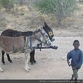 IMG_8307.JPG